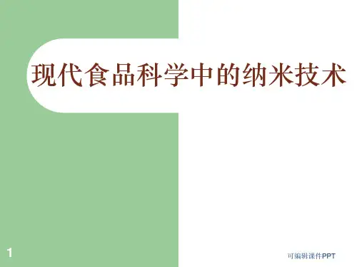 食品纳米技术ppt课件