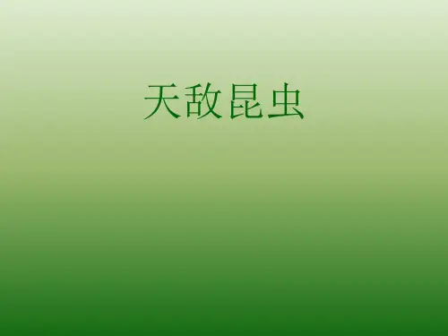 天 敌 昆 虫