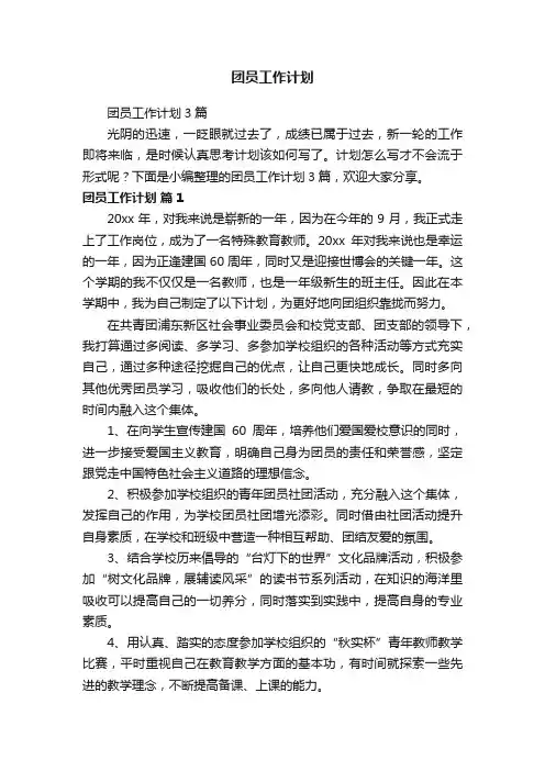 团员工作计划