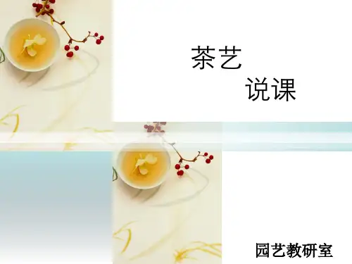 茶艺说课
