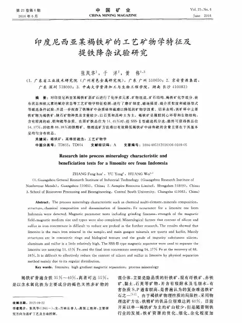 印度尼西亚某褐铁矿的工艺矿物学特征及提铁降杂试验研究
