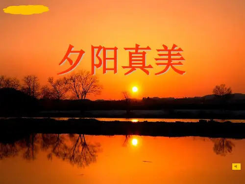 (课堂教学课件3) 夕阳真美