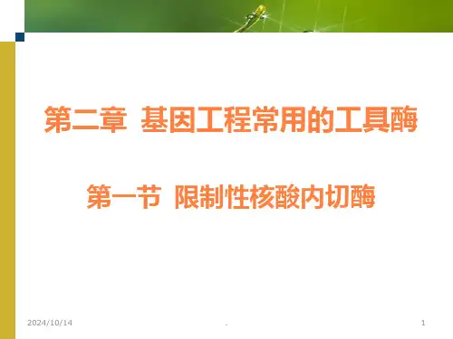 基因工程常用的工具酶