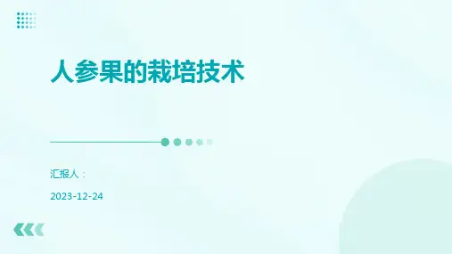 人参果的栽培技术