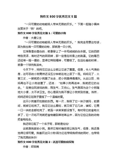 狗作文800字优秀范文5篇