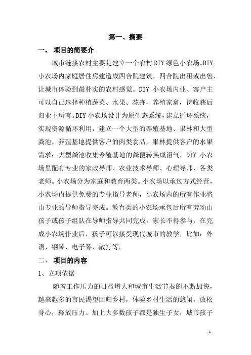 农村DIY绿色小农场项目商业计划书
