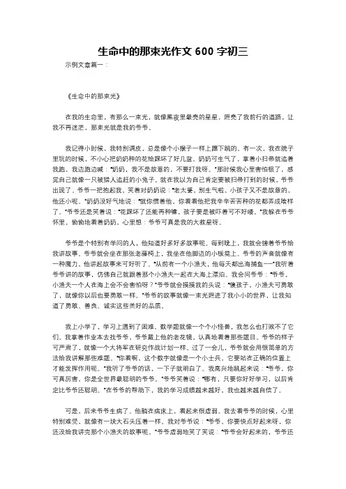 生命中的那束光作文600字初三