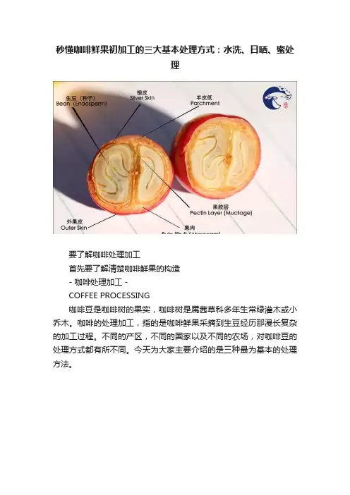 秒懂咖啡鲜果初加工的三大基本处理方式：水洗、日晒、蜜处理