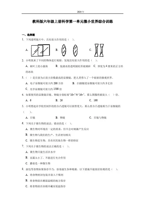 教科版(2024)六年级上册科学第一单元微小世界综合训练(含答案)