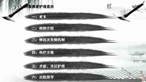 腭裂护理查房ppt课件