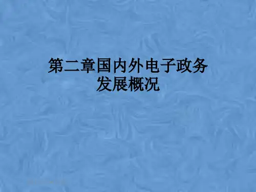 第二章国内外电子政务发展概况
