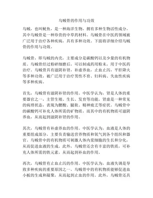 乌贼骨的作用与功效