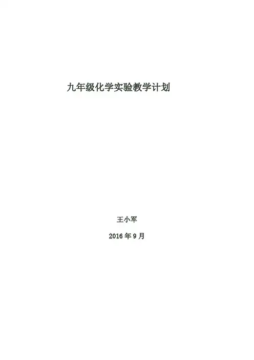 九年级化学实验教学计划