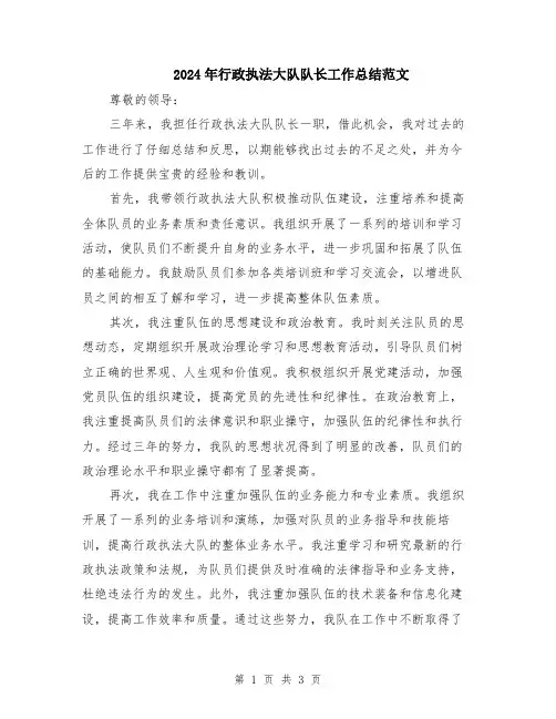 2024年行政执法大队队长工作总结范文