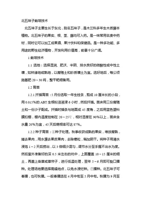 北五味子栽培技术