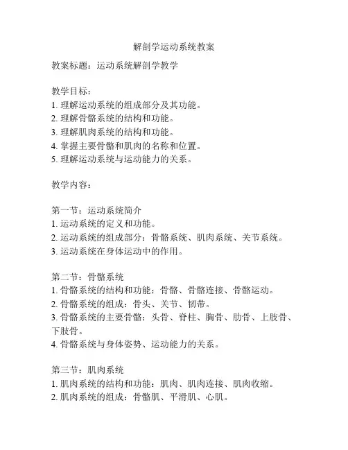 解剖学运动系统教案