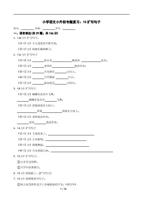 小学语文小升初专题复习：10扩写句子