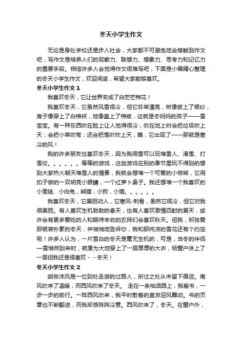 冬天小学生作文15篇