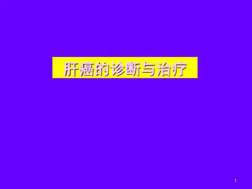 肝癌的诊断与治疗PPT课件