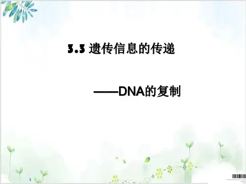 【全国百强校】人教版高中生物必修二课件-DNA复制(13张)-PPT优秀课件