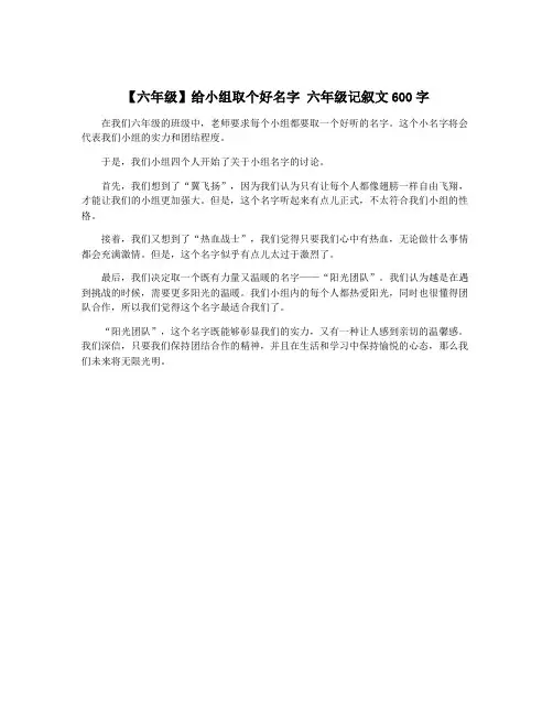【六年级】给小组取个好名字 六年级记叙文600字