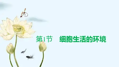 人教版(新教材)高中生物选择性必修1精品课件：1