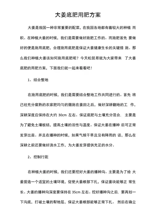 大姜底肥用肥方案