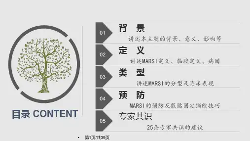 MARSI医用黏胶相关皮肤损伤PPT课件