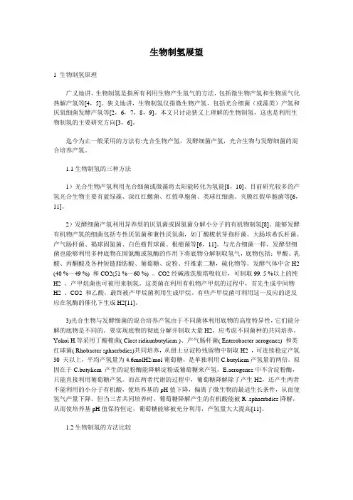 生物制氢展望