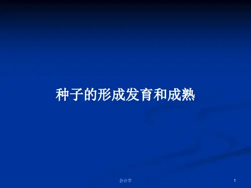 种子的形成发育和成熟PPT教案