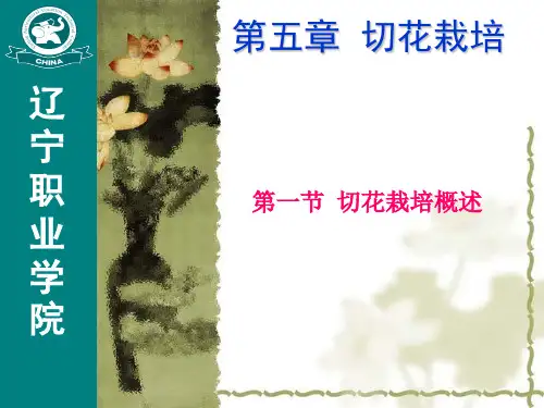 花卉生产学-第五章 切花栽培(第一节 切花栽培概述)