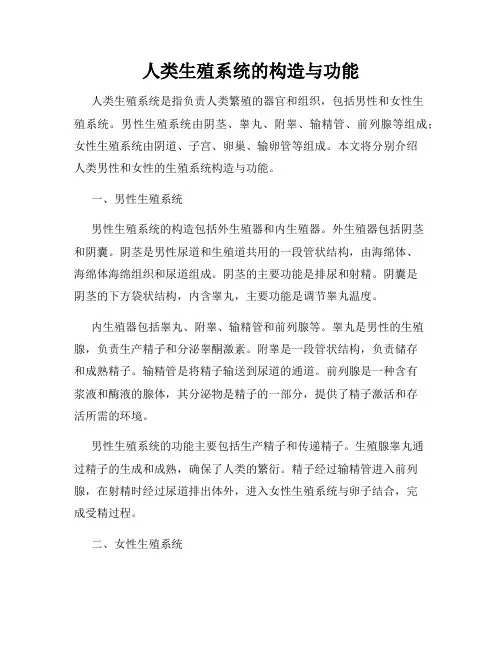 人类生殖系统的构造与功能