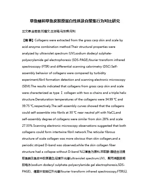 草鱼鳞和草鱼皮胶原蛋白性质及自聚集行为对比研究