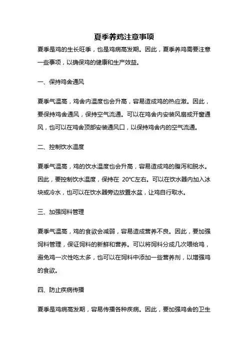 夏季养鸡注意事项