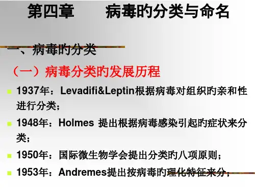 病毒的命名和分类