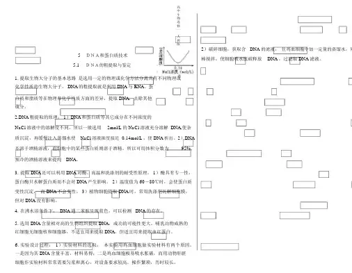 高中生物选修一专题五DNA和蛋白质技术知识点