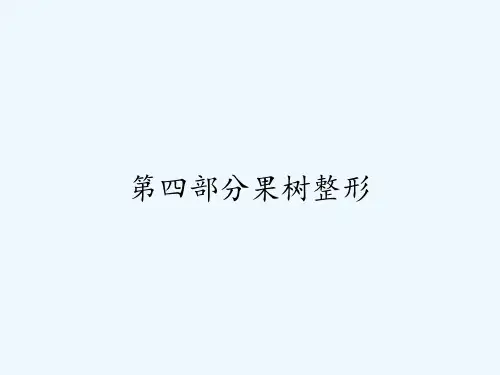 第四部分果树整形 PPT