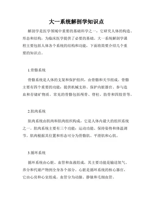 大一系统解剖学知识点