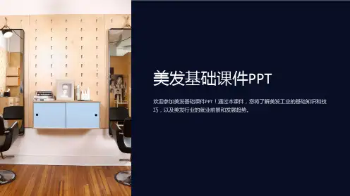 美发基础课件