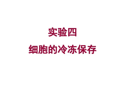 实验四细胞的冷冻保存
