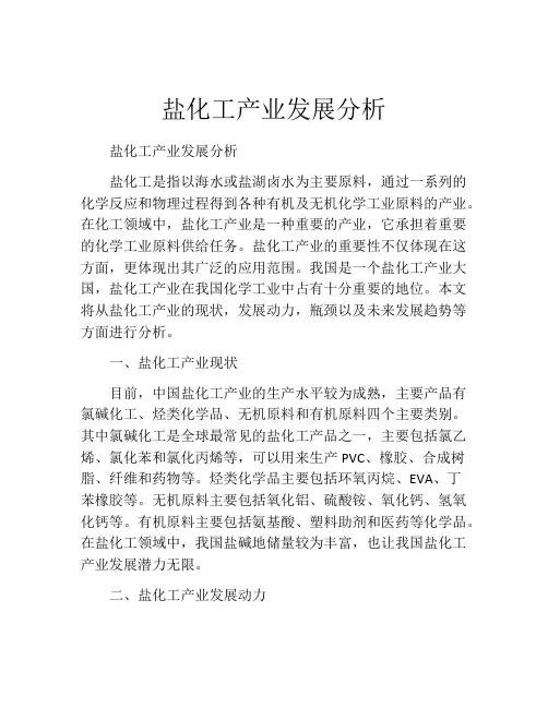 盐化工产业发展分析