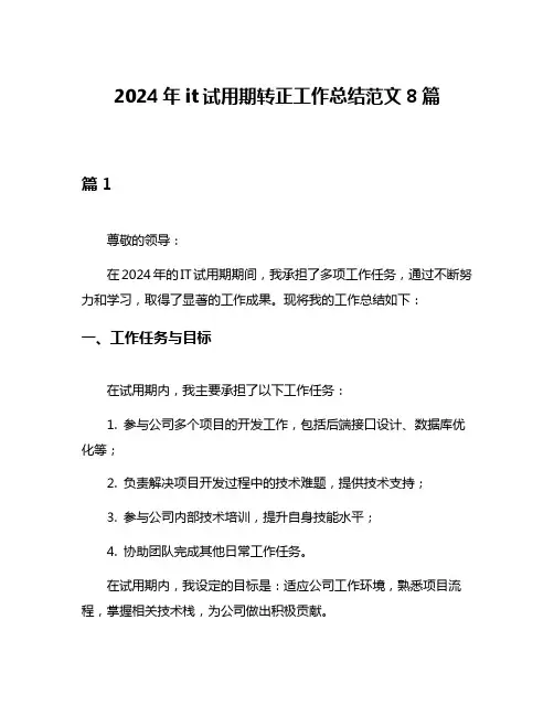 2024年it试用期转正工作总结范文8篇