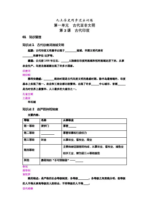 九上历史同步过关训练 第3课 古代印度 答案版