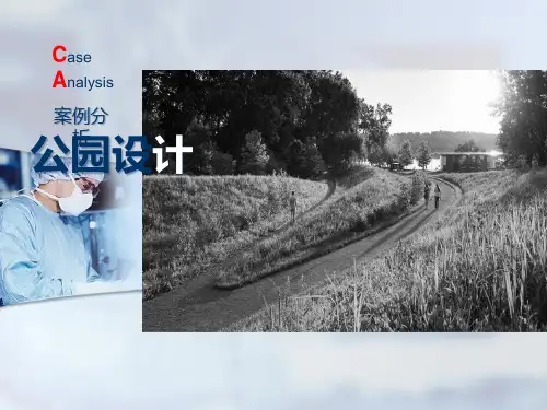 公园设计案例分析30094