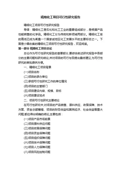 精细化工项目可行性研究报告