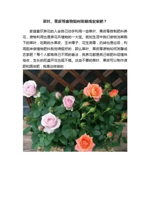 菜叶、果皮等废物如何发酵成农家肥？