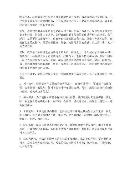 盆景教学第二课心得体会