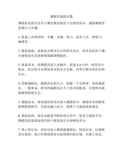 裸根苗栽植步骤
