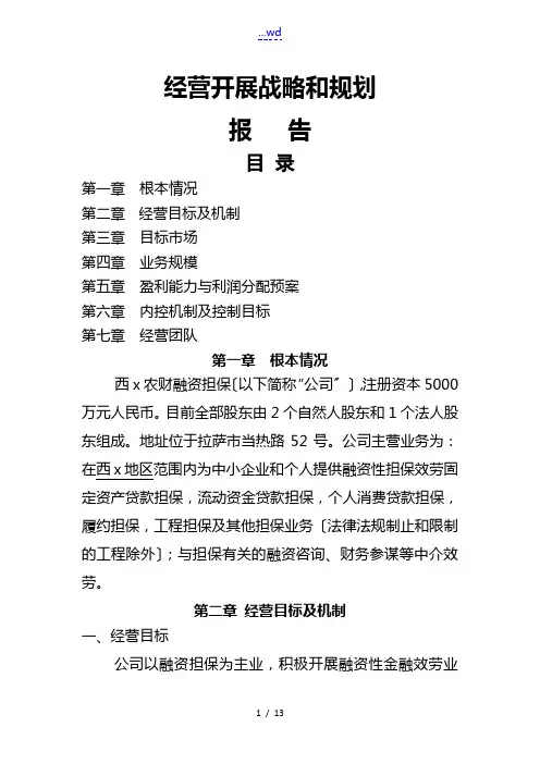 经营发展战略和规划报告