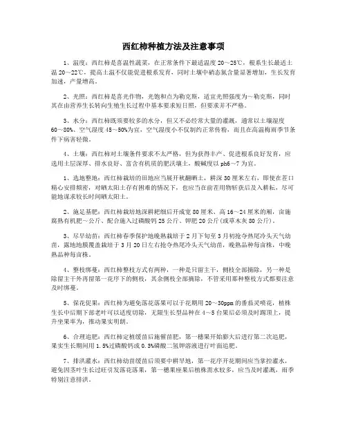 西红柿种植方法及注意事项